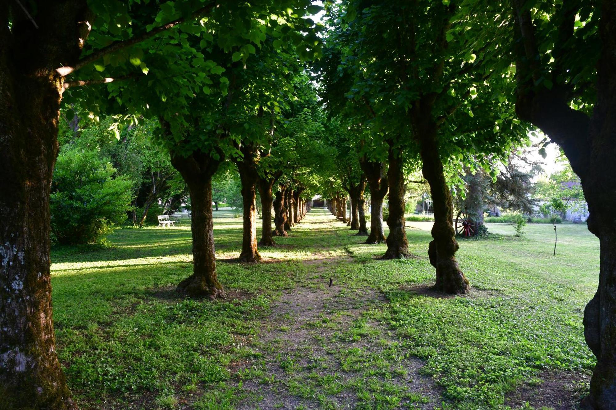 Le Val Clos, Appartement Dans Une Maison De Maitre 19E Tanlay Екстер'єр фото